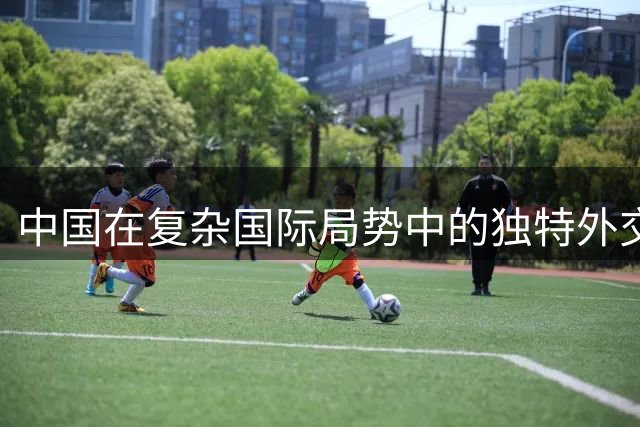 中国在复杂国际局势中的独特外交智慧
