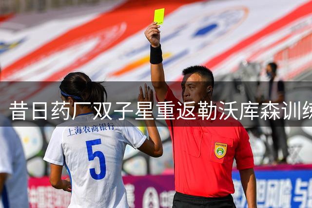 昔日药厂双子星重返勒沃库森训练场 备战新赛季引球迷回忆